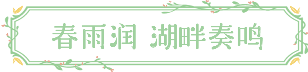 被湖南卫视李锐村长点赞的尼山圣境春日之旅，内含499元特惠套餐