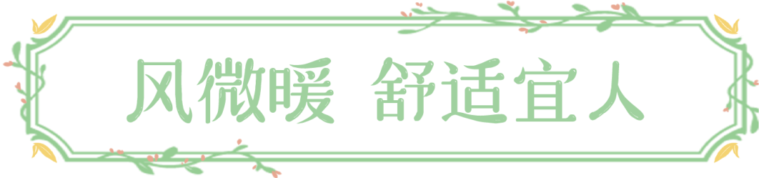 被湖南卫视李锐村长点赞的尼山圣境春日之旅，内含499元特惠套餐