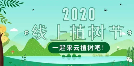 认养小树苗，为祖国添绿 ——山师附小一年级三班开展“云植树”活动