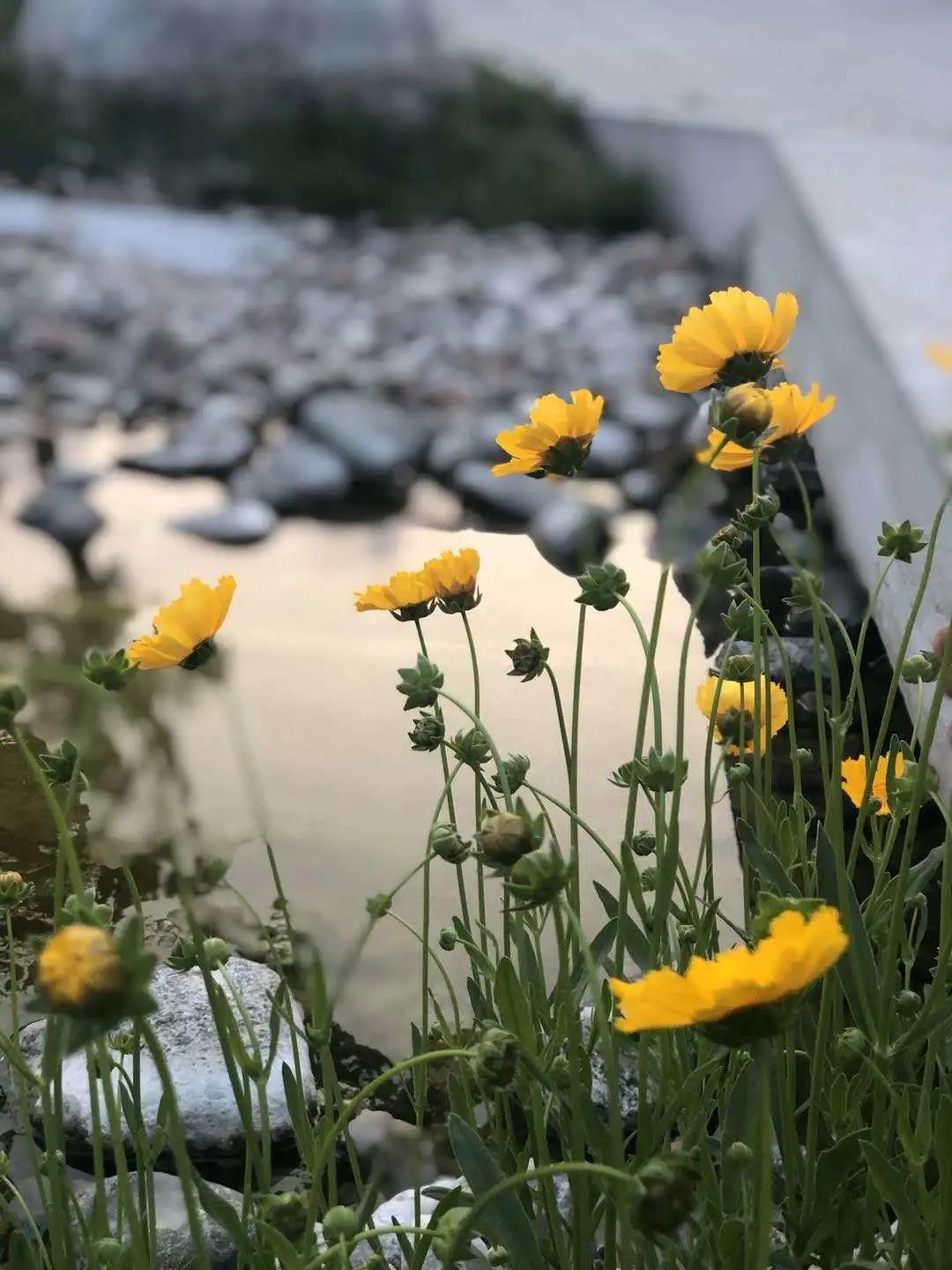 春暖花开，到济南和生庄园共度美好春光