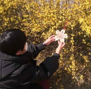 “我为树木挂名牌”，河北联邦国际学校学子迎春来