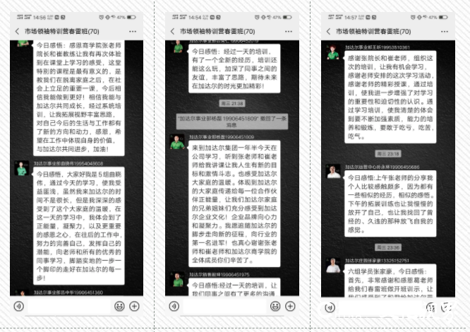 抱团  加油  互托  共生——加达尔成功举办“市场领袖特训营”