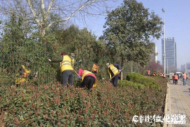 疫将去 花满市，济南将在5月底前打造70余处花卉景观大道和花漾街区 