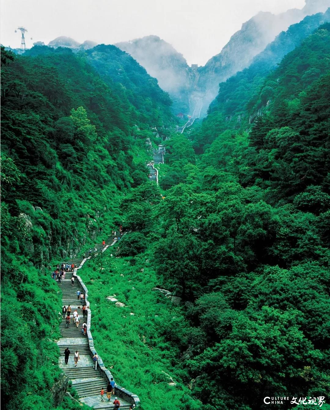 山花已烂漫，相约正当时——泰山景区3月21日8时起恢复开放