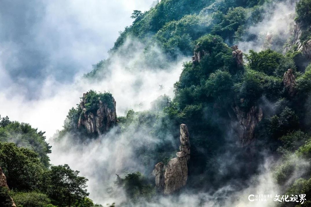 山花已烂漫，相约正当时——泰山景区3月21日8时起恢复开放