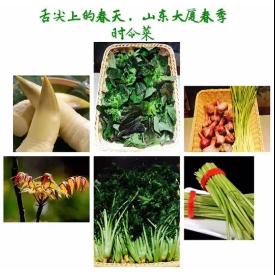 “鲜嫩食材”打开您尘封已久的原始味蕾一一山东大厦推出“春季养生美食荟”，邀您一起品尝“春天的味道”