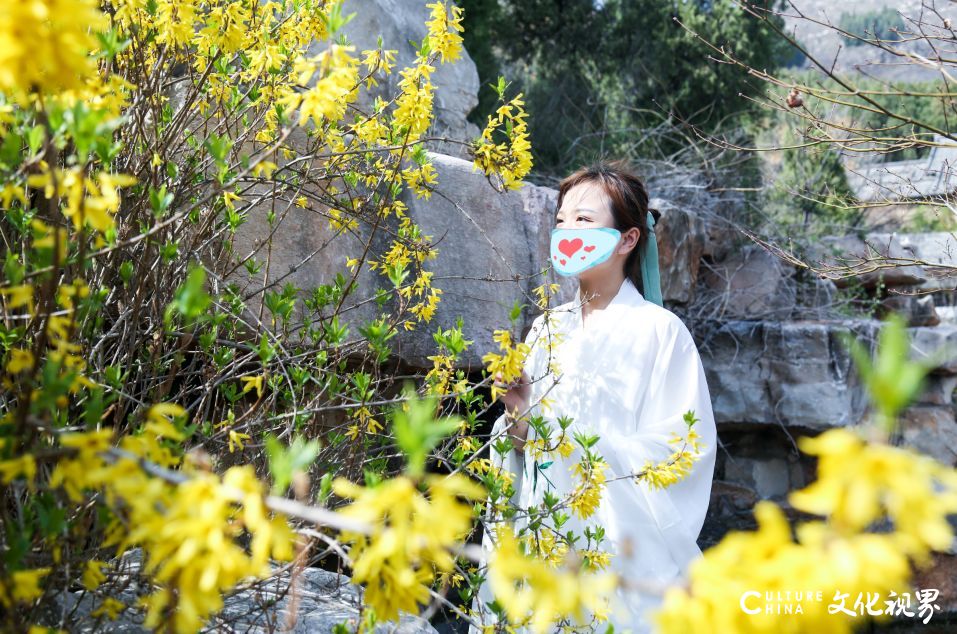 曲阜踏青第一站，尼山圣境杏花节邀你赏花闻香