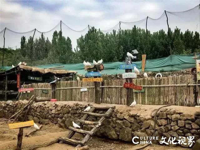 赚钱大家分 赔钱算个人——淄博幽幽谷旅游公司赵胜建带领百姓走出共同富裕的“郝峪模式”