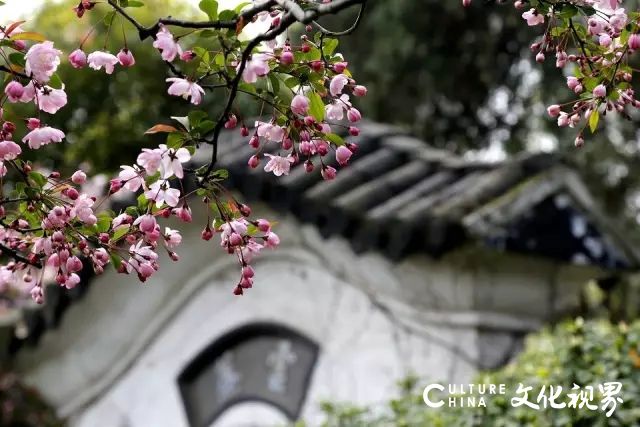 新中国旅|花开疫散再寻浪漫，美爆了的10个中国小城风轻云淡
