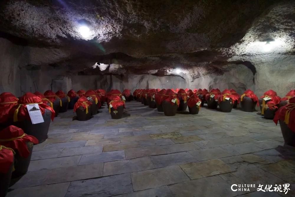 十里杏花雨   一路酒旗风——齐鲁酒地99元“花海福星卡”限量抢购，尊享五重超级权益