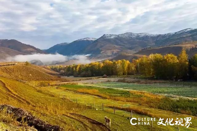 新中国旅|花开疫散再寻浪漫，美爆了的10个中国小城风轻云淡