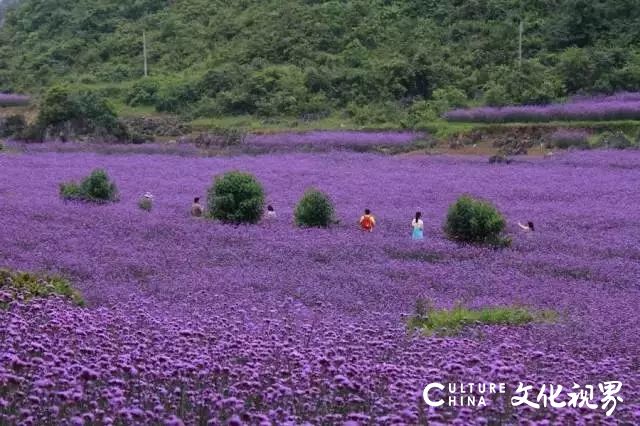 新中国旅|花开疫散再寻浪漫，美爆了的10个中国小城风轻云淡