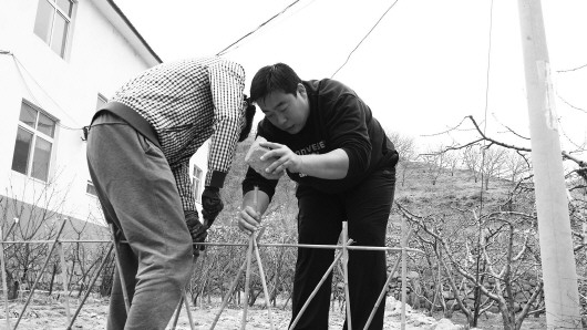 赚钱大家分 赔钱算个人——淄博幽幽谷旅游公司赵胜建带领百姓走出共同富裕的“郝峪模式”