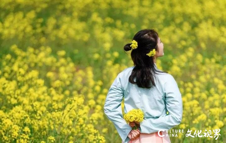 山东油菜花海震撼登场，这几个地方美到窒息