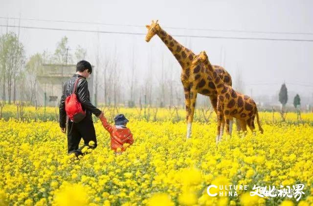 山东油菜花海震撼登场，这几个地方美到窒息