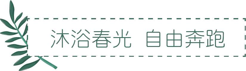 春日童话森林  田园生活密境——在尼山圣境带孩子畅意“森”呼吸