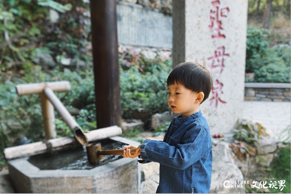 春日童话森林  田园生活密境——在尼山圣境带孩子畅意“森”呼吸