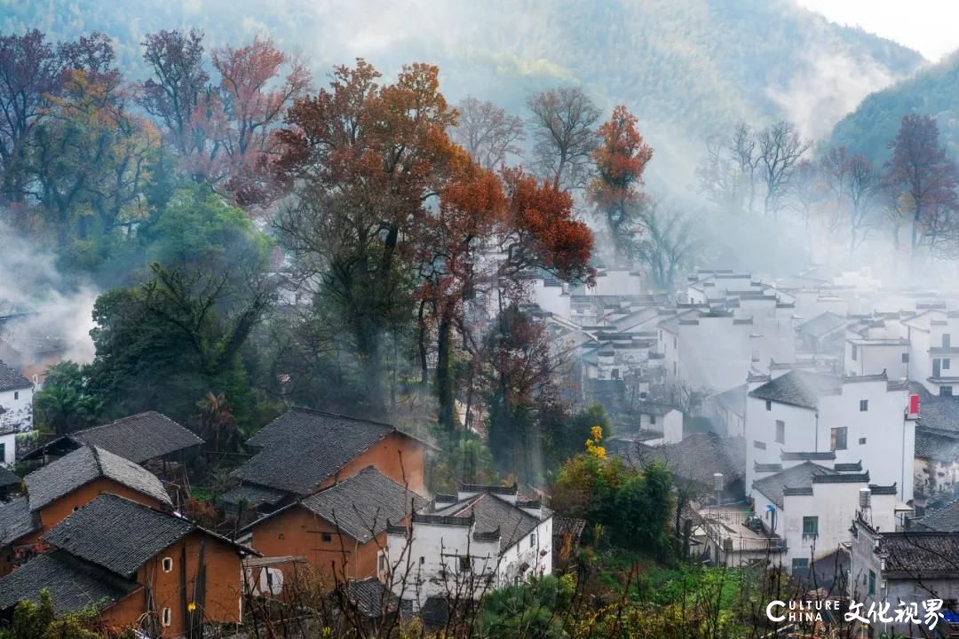 新中国旅热荐：去婺源，追寻中国最美乡村的油菜花田