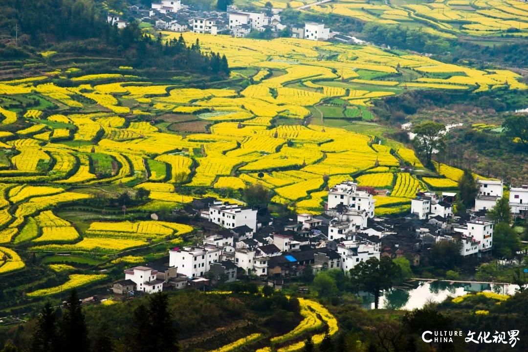 新中国旅热荐：去婺源，追寻中国最美乡村的油菜花田