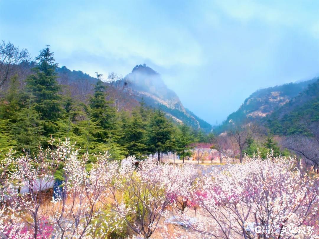 天蒙山开山节今日隆重举行，所有游客免费入园