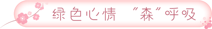 春游踏青第一站，尼山圣境399元住宿，享“美景+美酒”套餐优惠