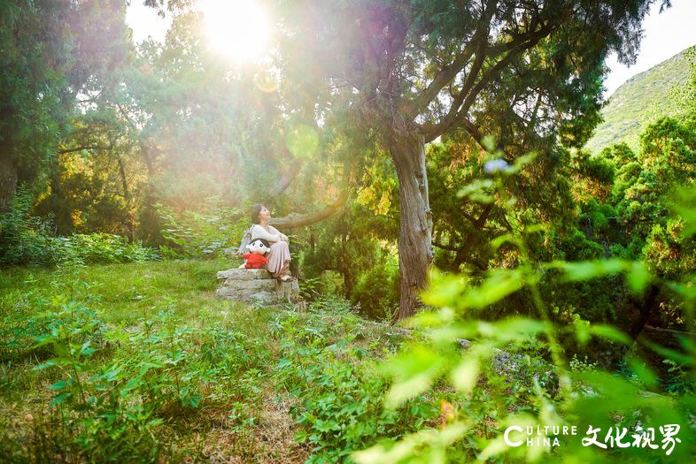 春游踏青第一站，尼山圣境399元住宿，享“美景+美酒”套餐优惠