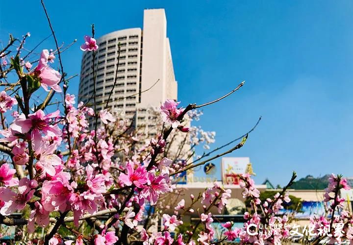 小长假即将到来，山东大厦邀您来品美食赏美景——时令美食节、自助餐特惠、暖心客房等样样暖心享受