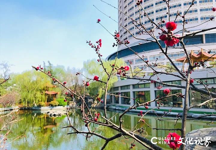 小长假即将到来，山东大厦邀您来品美食赏美景——时令美食节、自助餐特惠、暖心客房等样样暖心享受