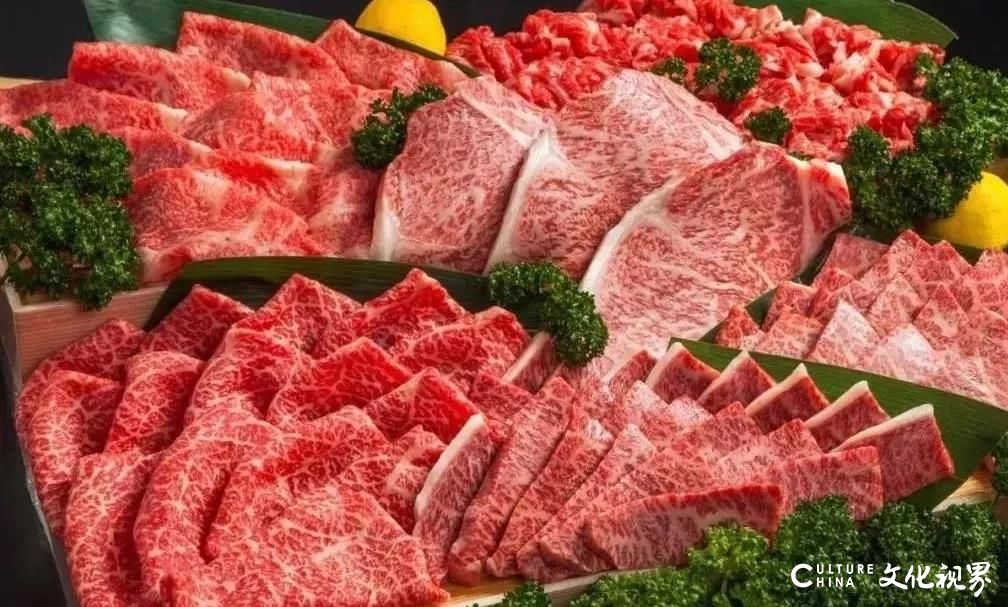 春季养生来黑牛先生吃放心牛肉