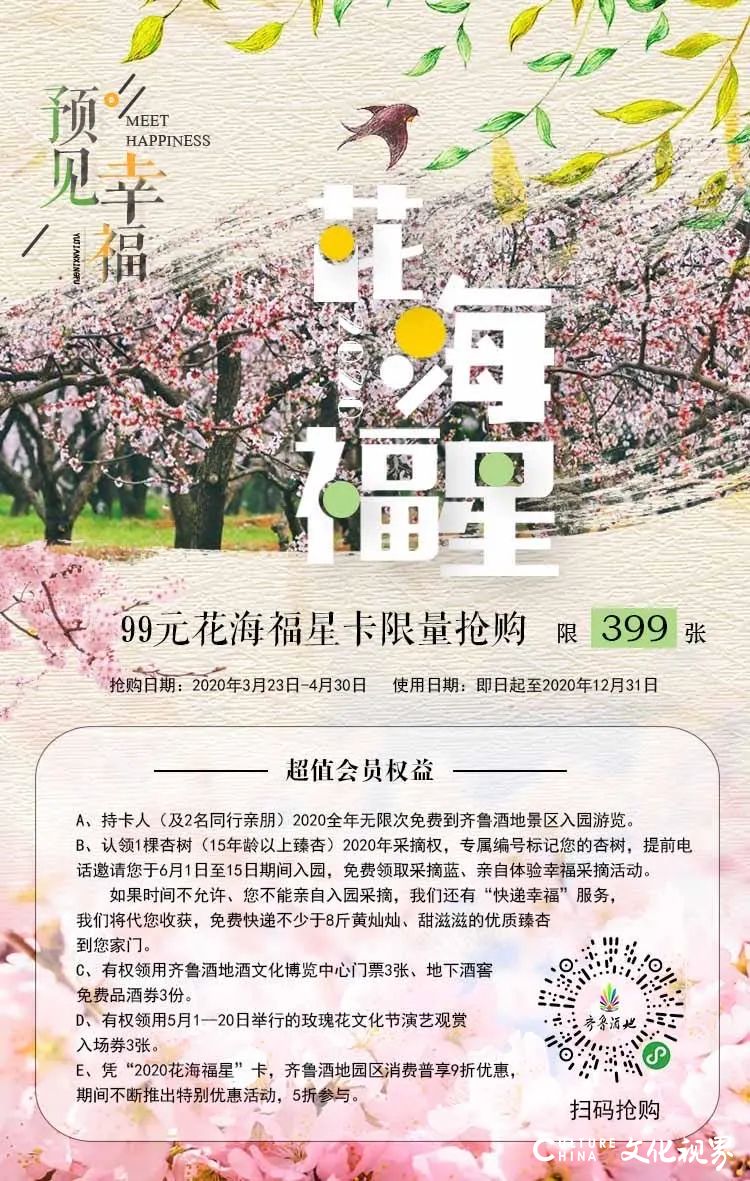 齐鲁酒地景区今日恢复开放，超值福利卡99元，限量399张