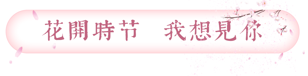 尼山书院酒店——世外耕读院落  文化体验空间