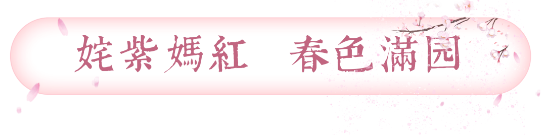 尼山书院酒店——世外耕读院落  文化体验空间