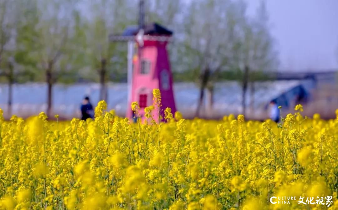 春光明媚 山花烂漫，嘉华旅游邀请您共赏春日泉城