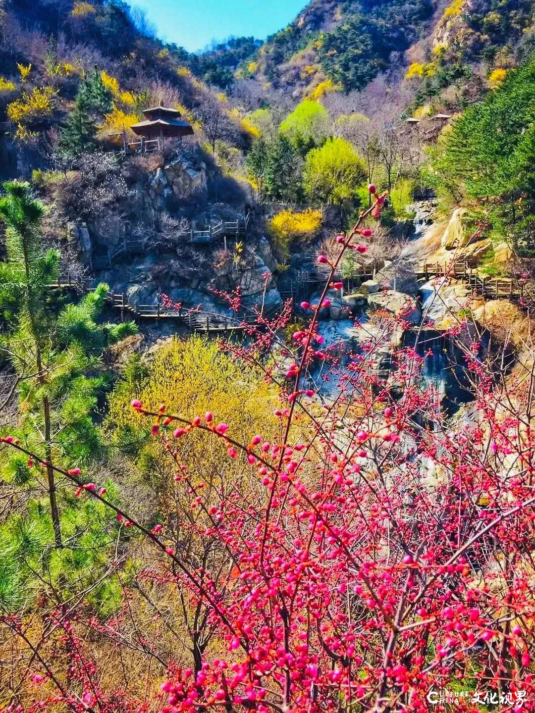 尽享大山里的浪漫与疯狂——九如山春花节再度来袭