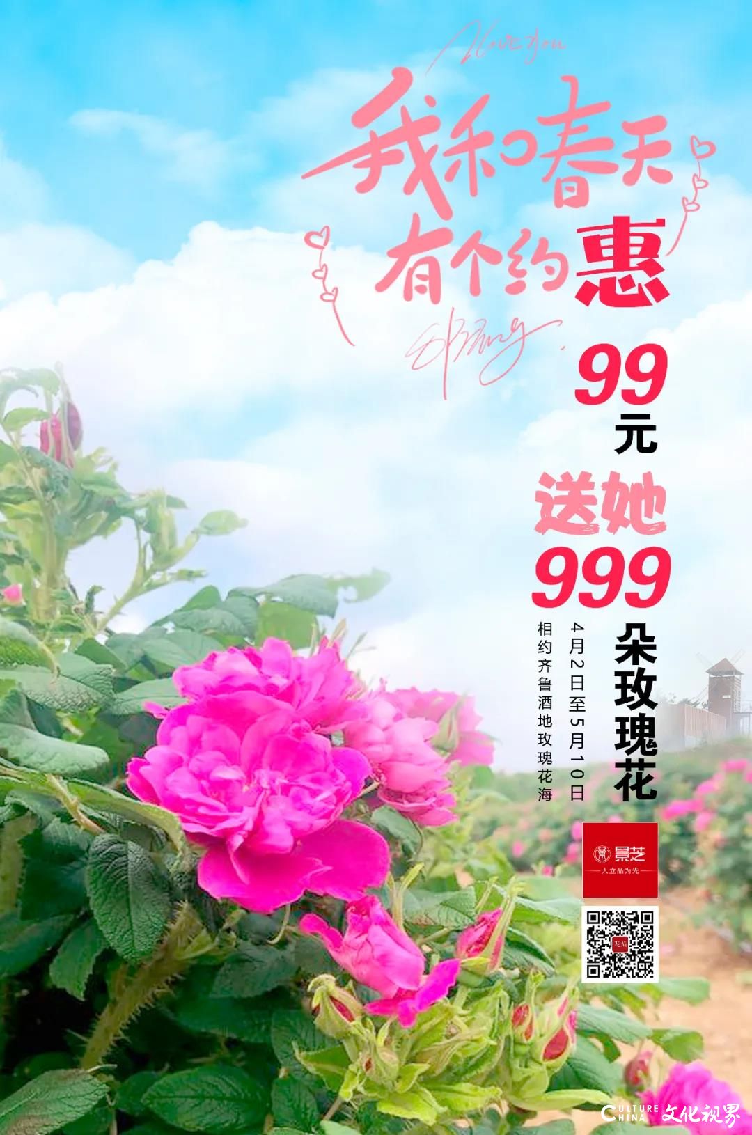 99元送她999朵玫瑰……与齐鲁酒地“约惠”玫瑰花海  更有十重大礼超级惊艳