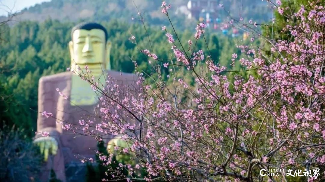 千佛山➩济南市博物馆➩泉城公园➩山东大厦——小长假赏美景品美食线路推荐