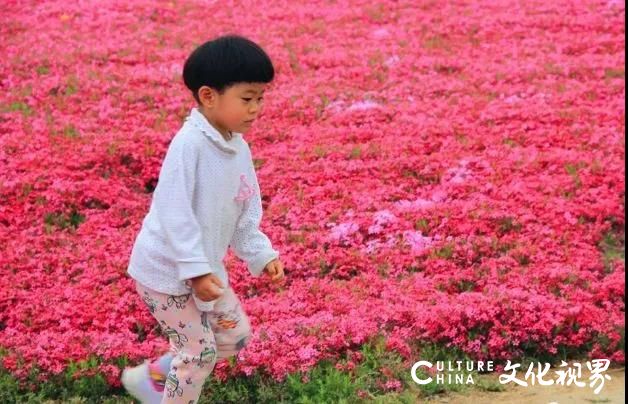 一人持卡 三人同行 五大福利，4月，让我们相约齐鲁酒地，一起“预见幸福”