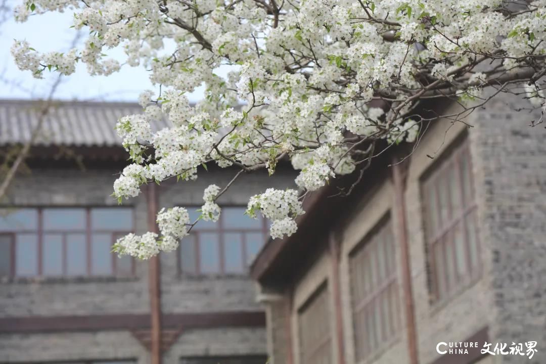 一人持卡 三人同行 五大福利，4月，让我们相约齐鲁酒地，一起“预见幸福”