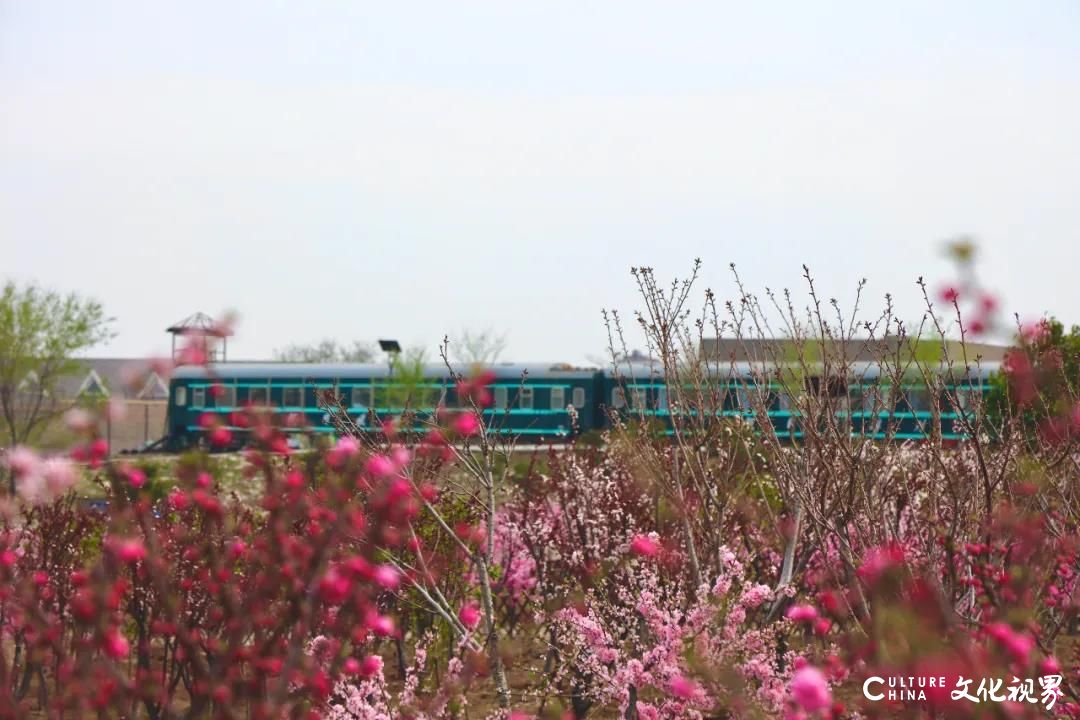 一人持卡 三人同行 五大福利，4月，让我们相约齐鲁酒地，一起“预见幸福”