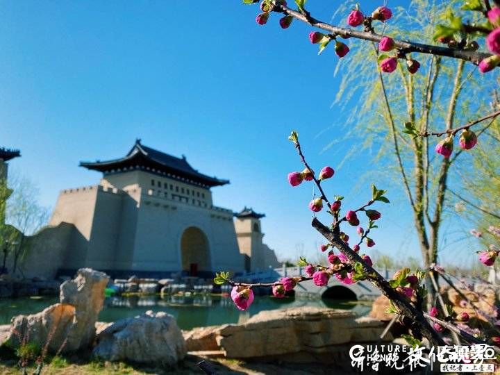 距离济南市区半小时车程，齐河中国驿-泉城中华饮食文化小镇半数商家恢复运营