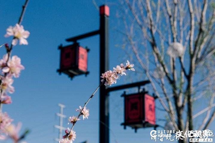 距离济南市区半小时车程，齐河中国驿-泉城中华饮食文化小镇半数商家恢复运营