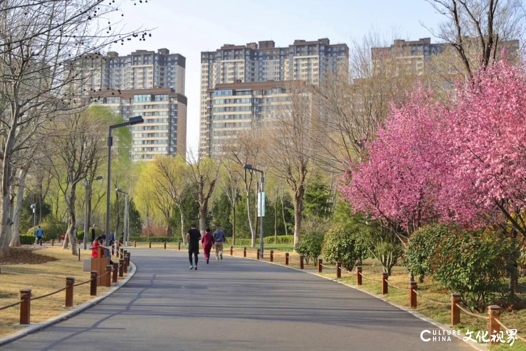 嘉华旅游|不出济南领略荷兰风情，去这些地方邂逅郁金香