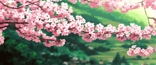 嘉华旅游|百里杜鹃  黄果树瀑布  千户苗寨....贵州的春天壮丽而又惊艳