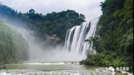 嘉华旅游|百里杜鹃  黄果树瀑布  千户苗寨....贵州的春天壮丽而又惊艳