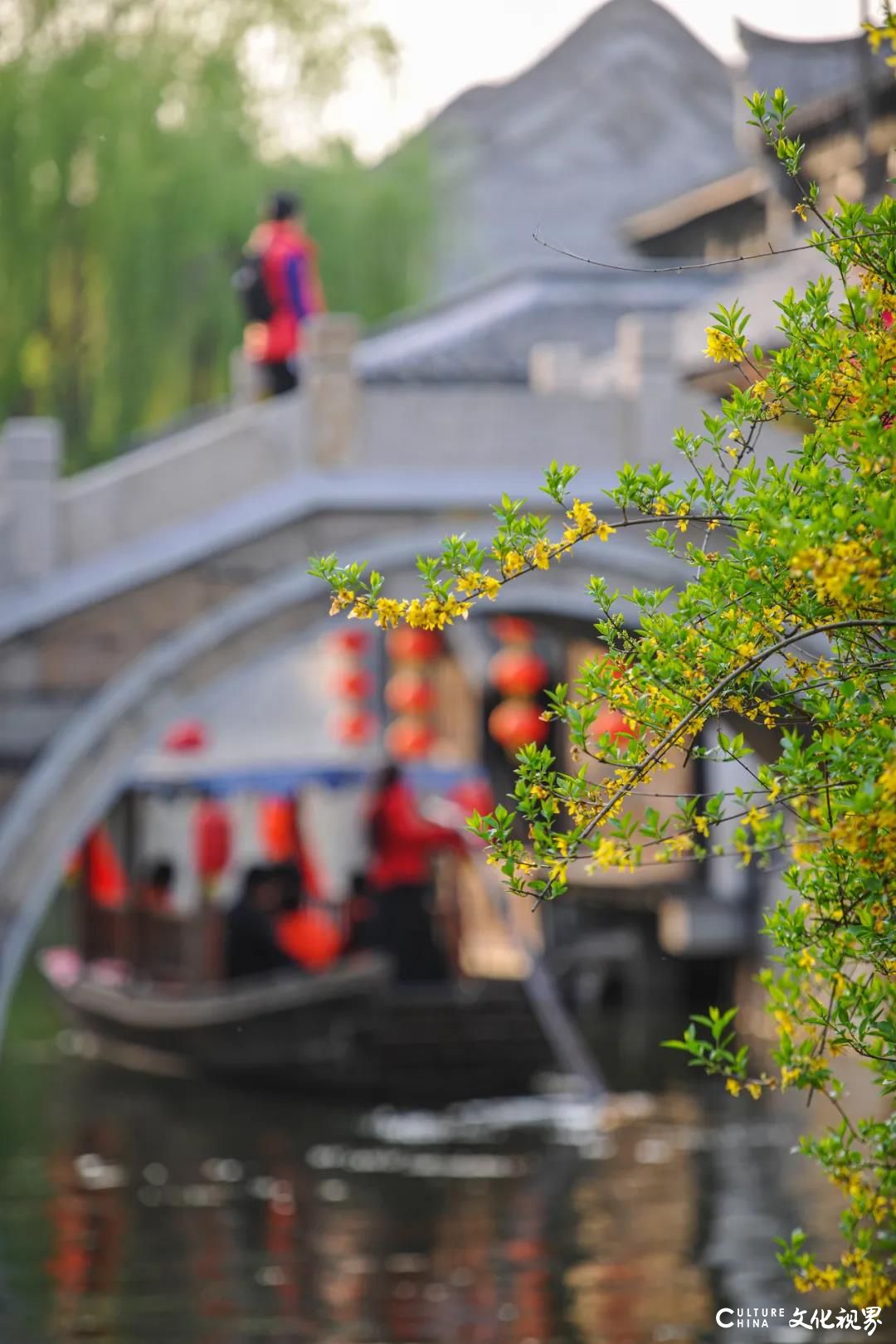 央视“云游”台儿庄，领略古城四月风光——嘉华旅游推出古城赏春踏青339元起二日游