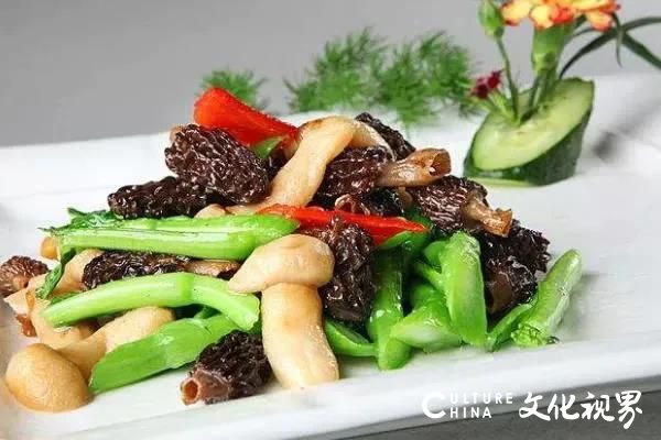 新中国旅助力湘西扶贫脱贫——以野生名菌“羊肚菌”作为突破口，为滞销的农副特产打开市场