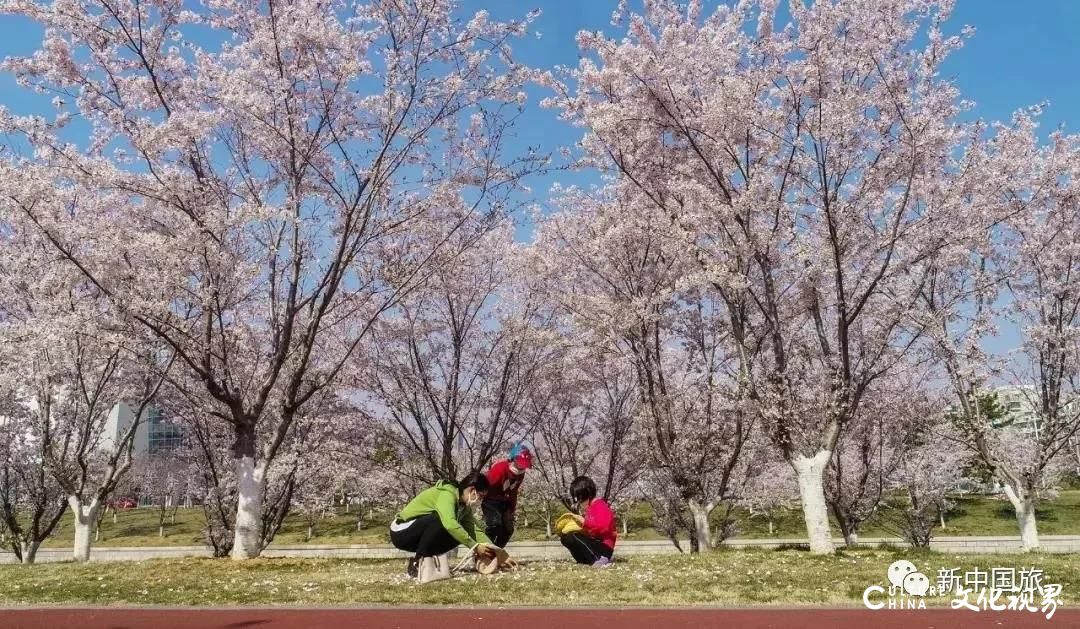 新中国旅|玩在海洋牧场  住在五星酒店，5月2-4日自驾畅游威海荣成美好时光