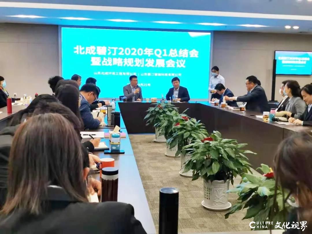 碧汀科技2020 年第一季度总结会圆满召开 认真查摆存在的问题并现场答疑