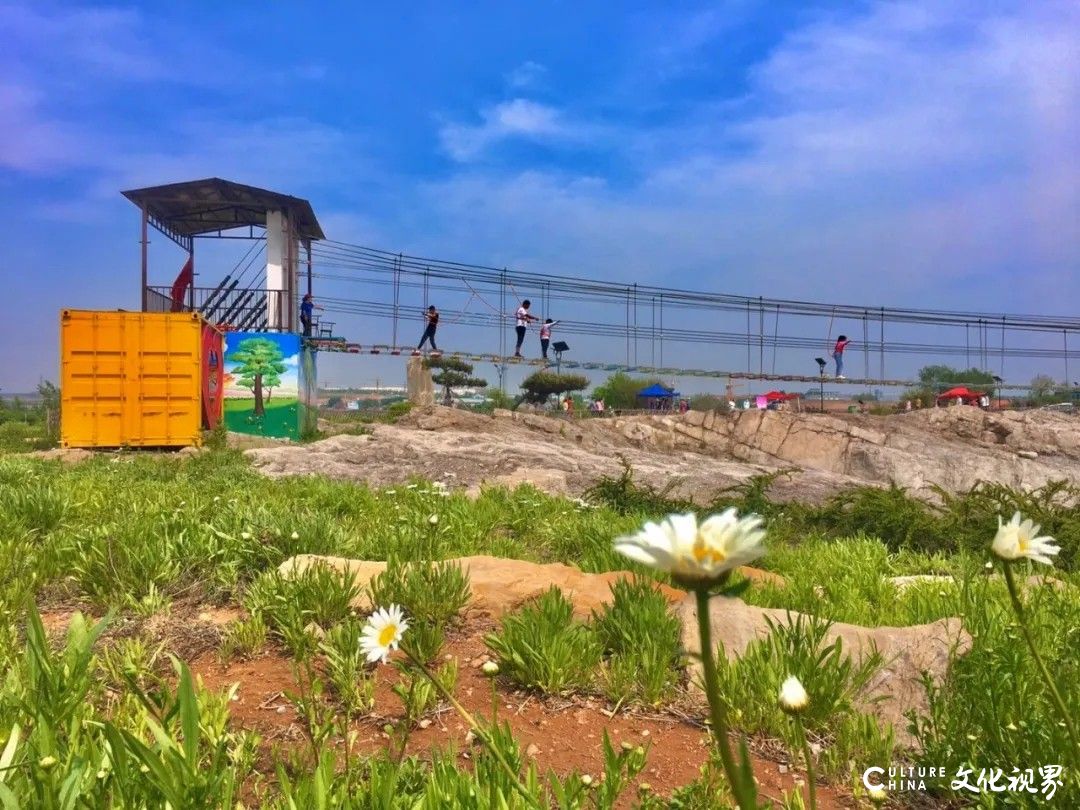 五一假期相约齐鲁酒地,唯美花海 古风美景等你来邂逅