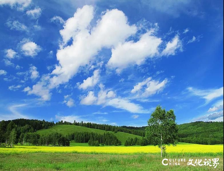 有一种旅行叫去呼伦贝尔大草原，错过了这里，就等于错过了“中国最美的夏天”